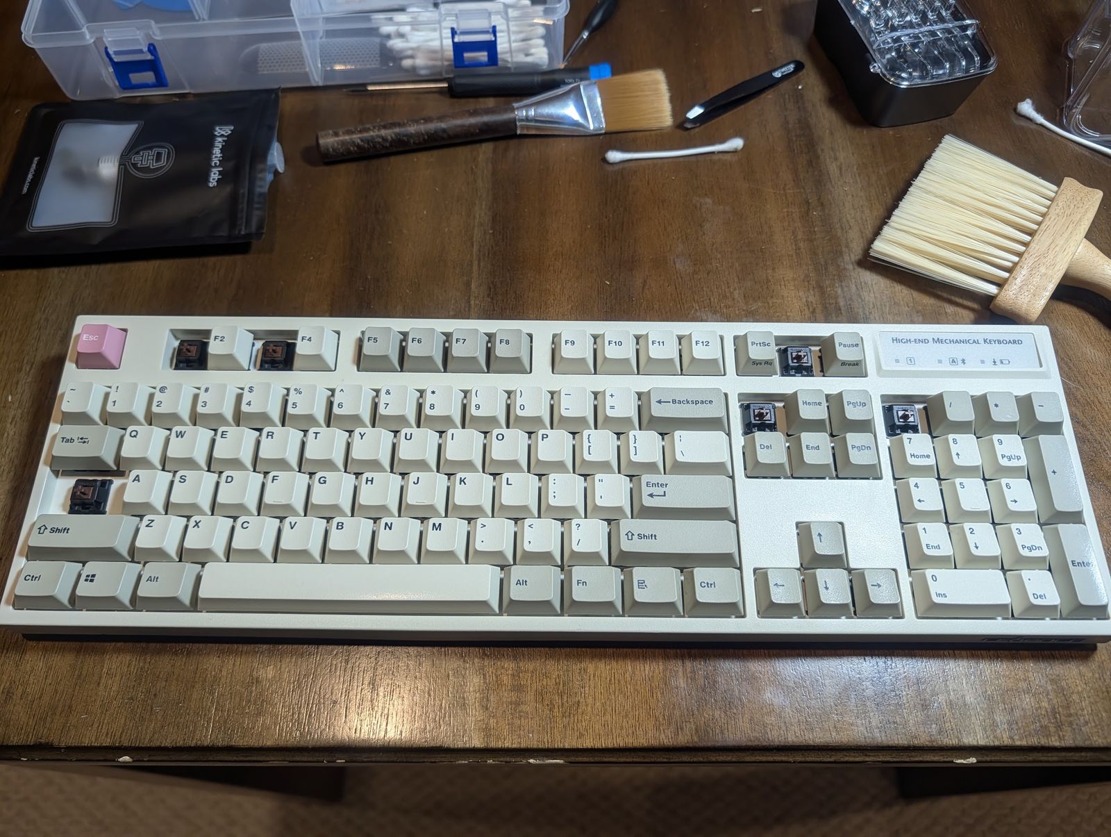 The same Leopold from above — reassembled and spotless